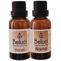 Mango + Nane Uçucu Buhurdanlık Yağı Oda Kokusu Aromaterapi Set 2 Ad 30 ML