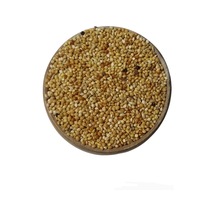 Karışık Kuş Yemi 500 G