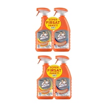 Mr. Muscle Mutfak Temizleyici 750 ML + Banyo Temizleyici 750 ML