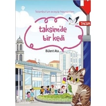İstanbul'un Acayip Hayvanları Taksimde Bir Kedi / Bülent Ata