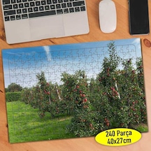 Meyve Bahçesi Elma Ağacı 240 Parça Puzzle Yapboz-91610504
