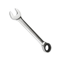 Protec Cırcır Anahtar 19mm