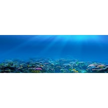 Kanki Pet 185 CM Akvaryum Arka Fon Yapıştırma 185x65 CM