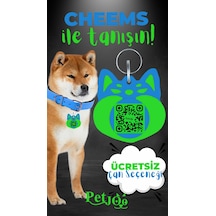 Petjoo 18.Cheems Yeşil-Mavi Qr'lı Köpek Künyesi
