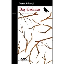 Bay Cadmus (545534123)
