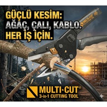 Çok Renkli