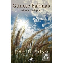 Güneşe Bakmak / Irvin D. Yalom