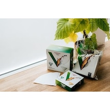 V60 01 Dripper Filtresi 100 Adet