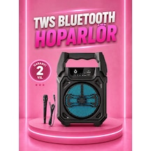 Taşınabilir 6.5 Bluetooth Hoparlör Usb Tf Kart Mikrofonlu Şarjlı Sistem - Lisinya