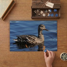 Suda Yaban Ördeği Tasarımı 240 Parça Ahşap Puzzle Ahşap Kutuda Mpy40172