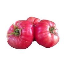 Nadir Iri Pembe Domates Tohumu 10 Adet Tohum Bulgar Domatesi