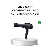 Buğz Profesyonel Saç Kurutma Makinesi Ac Motor, Soğuk Üfleme, 2 Hız Kademesi