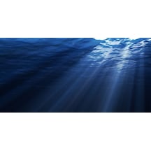 Kanki Pet KP1055207 Akvaryum Arka Fon Yapıştırma 105 CM