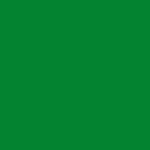 Faber-castell Albrecht Durer - Leaf Green 112 Genel