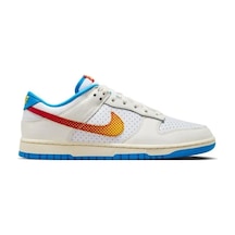 Nike Dunk Low Retro Se Erkek Sneaker Ayakkabı Çok Renkli
