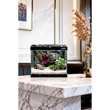 Betta Balığı Akvaryumu Siyah 23x12x21 Cm 4 Litre Arka Plan Hediyeli