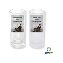 Çöpçüler Kralı Buzlu / Buzsuz Seçenekli Rakı Bardağı 1 Adet Şık Sunum Bardağı 0285