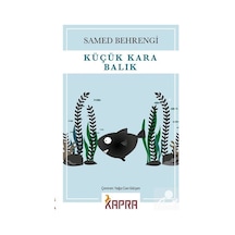 Küçük Kara Balık - Samed Behrengi