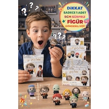 Harry Potter Wizard Buddies 3d Sürpriz Figür Paketi Lisanslı Koleksiyon Figür Oyuncak 5 Cm - 1 Adet