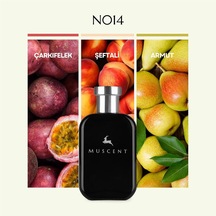 N014 Kirkey 50 Ml. Çok Renkli