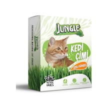 Jungle Kedi Çimi Kutulu