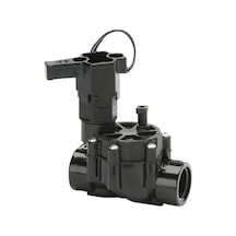 Raınbird 100Dv 1'Bsp Dişi Dişli Vana.24Vac