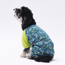 Pawstar Dinosaur Kedi Köpek Pijaması Kedi Köpek Tulumu