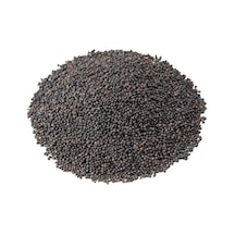 Sanita Siyah Hardal Tohumu 500 GR