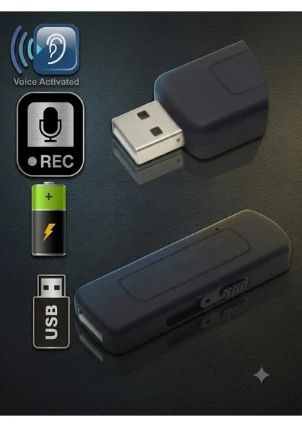 Usb Profesyonel Ses Sensörlü Casus Mini Ses Kayıt Cihazı