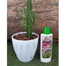 Tr Bitki Besini Tüm Bitkiler Için Sıvı Gübre Genel Amaçlı 1 Adet 225 Ml 0,250