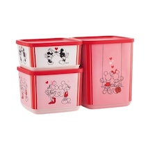 Minnie Ve Mickey Temalı Kübik 3'lü Saklama Seti Renkli