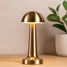 Oval Metal Mantar Masa Lambası - Dokunmatik Type-c 3 Mod Çok Renkli