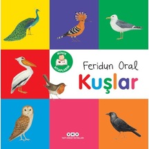 Minik Kitaplarım Kuşlar - Yqbx-650110