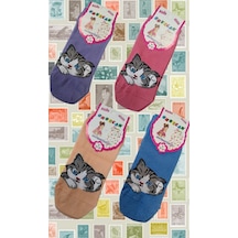 Shopiolog Kedi Desenli Çocuk Çorabı 4'lü Set