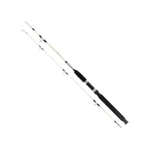 Remixon Hurricane 150 Cm 20-40lbs Aksiyonlu Tekne Kamışı