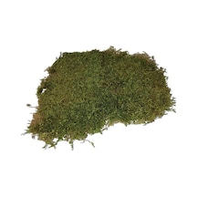 Flatmoss Doğal Kara Yosunu 500 G