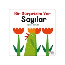 Bir Sürprizim Var - Sayılar - Agnese Baruzzi - Masalperest