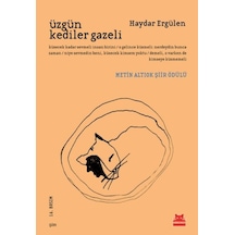 Üzgün Kediler Gazeli - Qhdh-609489