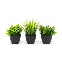 3 Lü Mini Yapay Çiçek Sukulent Seti, Saksılı Yapay Sukulent Bitki, Dekoratif Masaüstü Mini Bitk Belirtilmemiş