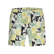 Jack & Jones Erkek Normal Kalip Deniz Sortu - Maui - 12291429 Granite Green