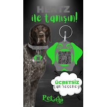 Petjoo 26.Hertz Yeşil-Gri Qr'lı Köpek Künyesi