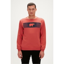 Bad Bear Fancy Crewneck Gınger Erkek Sweatshırt 19.02.12.007 001
