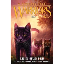 Sky - Warriors. A Starless Clan