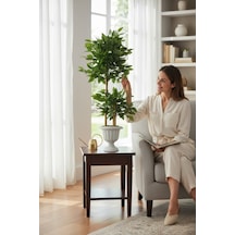Yapay Çiçek Nergiz Saksıda Benjamin Salon Ağacı Yeşil Bitkisi Bambu Gövdeli Dolgun 145-105 Cm Yeşil