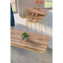 Vexor Zigon Sehpa Kr Ve Orta Sehpa Kr Set Gold Ceviz Tel 1108 Çok Renkli