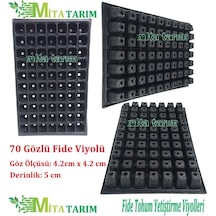 70 Göz Fide Viyolu, 3 Adet, Fide Viyolü, Fidelik (394050206)