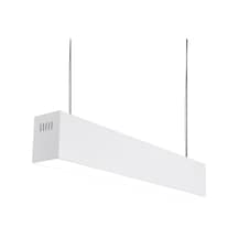 Nevo 100 Cm Linear Sarkıt Ns110-1-S,01