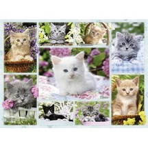 Ravensburger Puzzle 500 Parça Sepette Kedi.