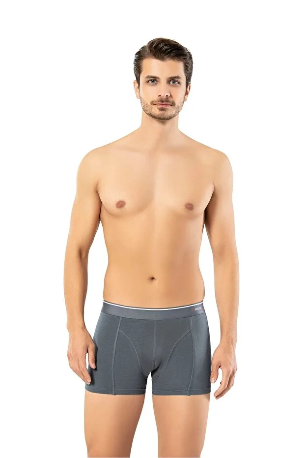 Erdem Erkek Füme Pamuk Klasik Boxer Kutulu- 1445f