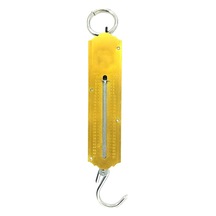 Pocket Balance 50 Kg Mekanik Metal El Kantarı Tartı Terazi Gold Series 1410